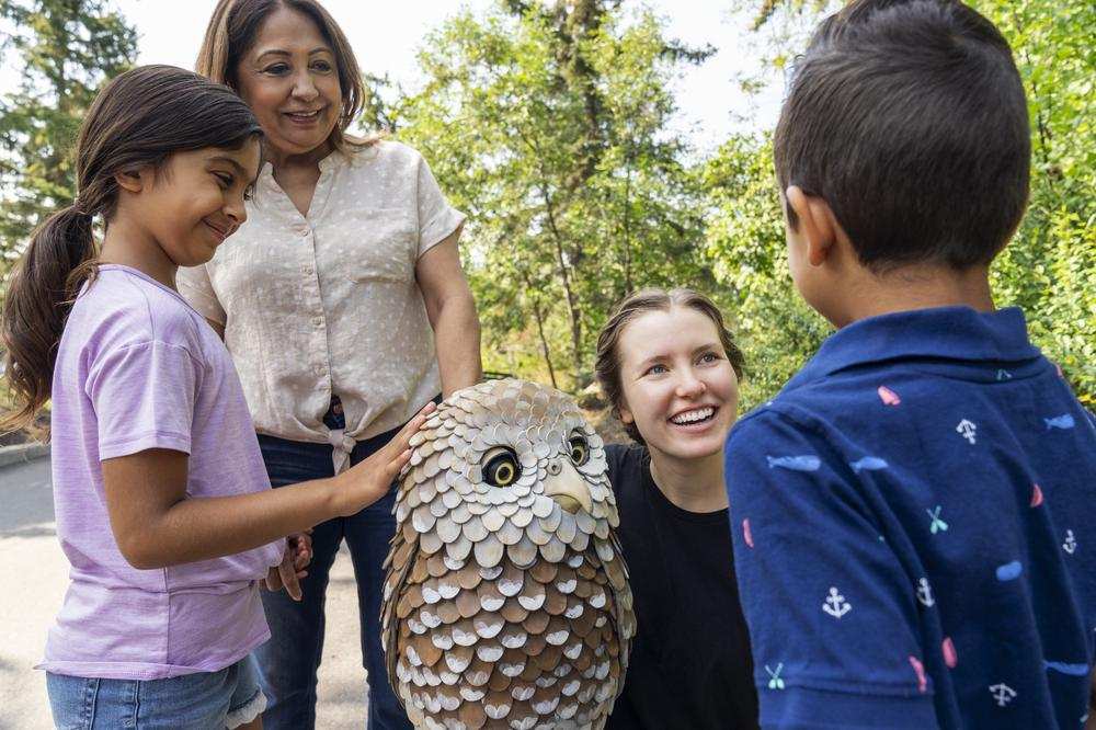 owl