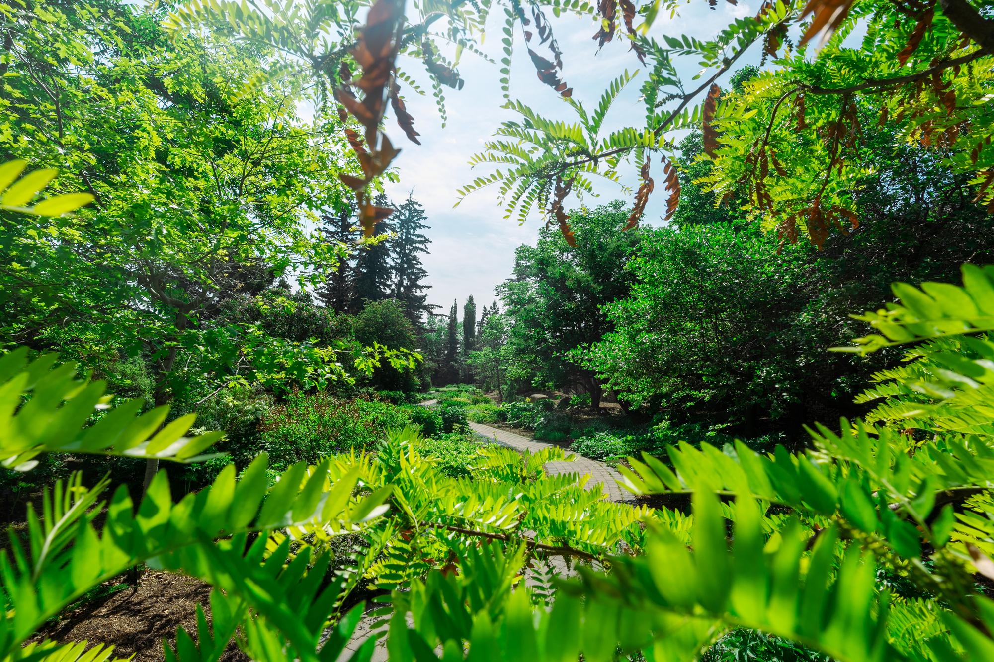 Gardens
