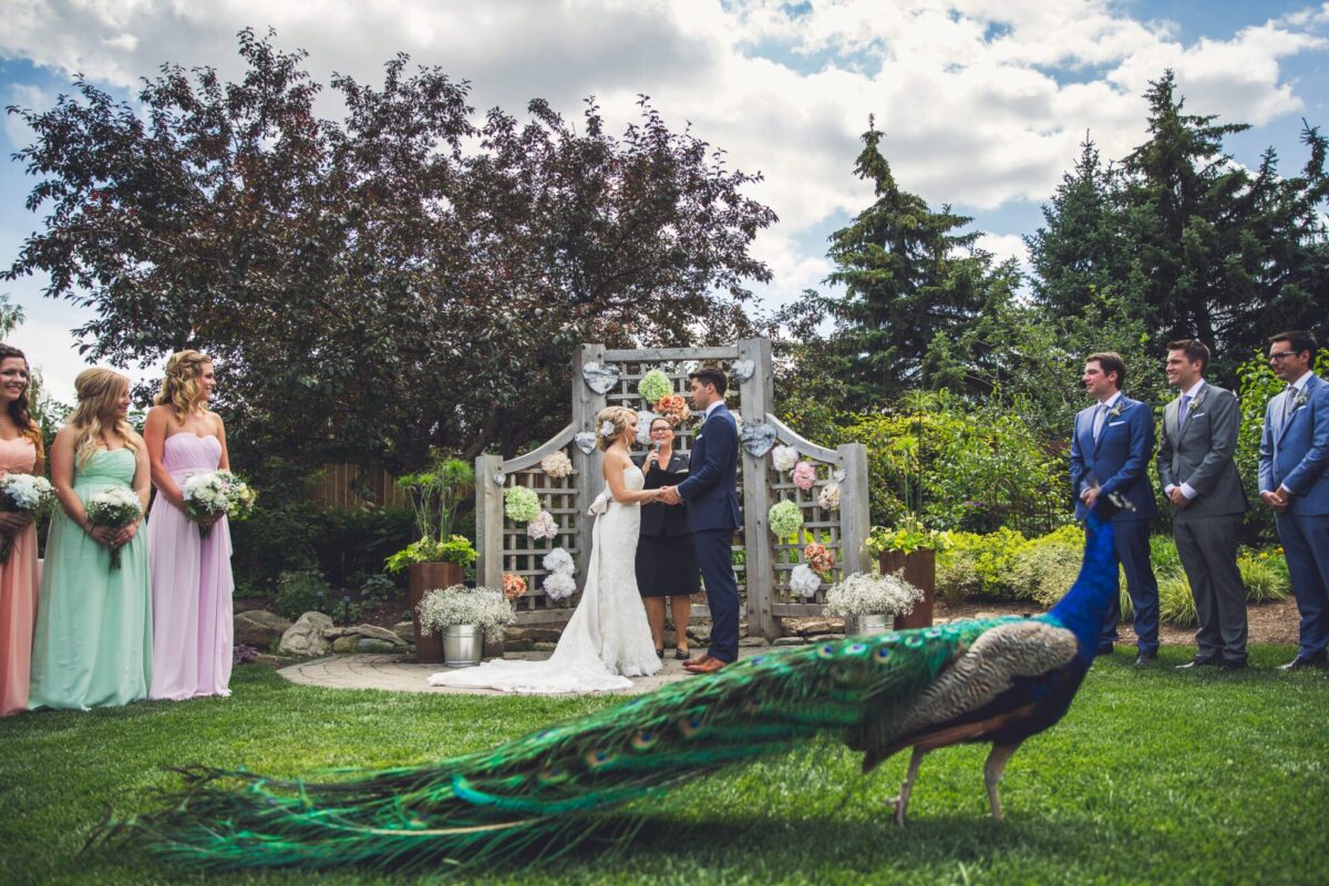 Calgary Zoo Wedding