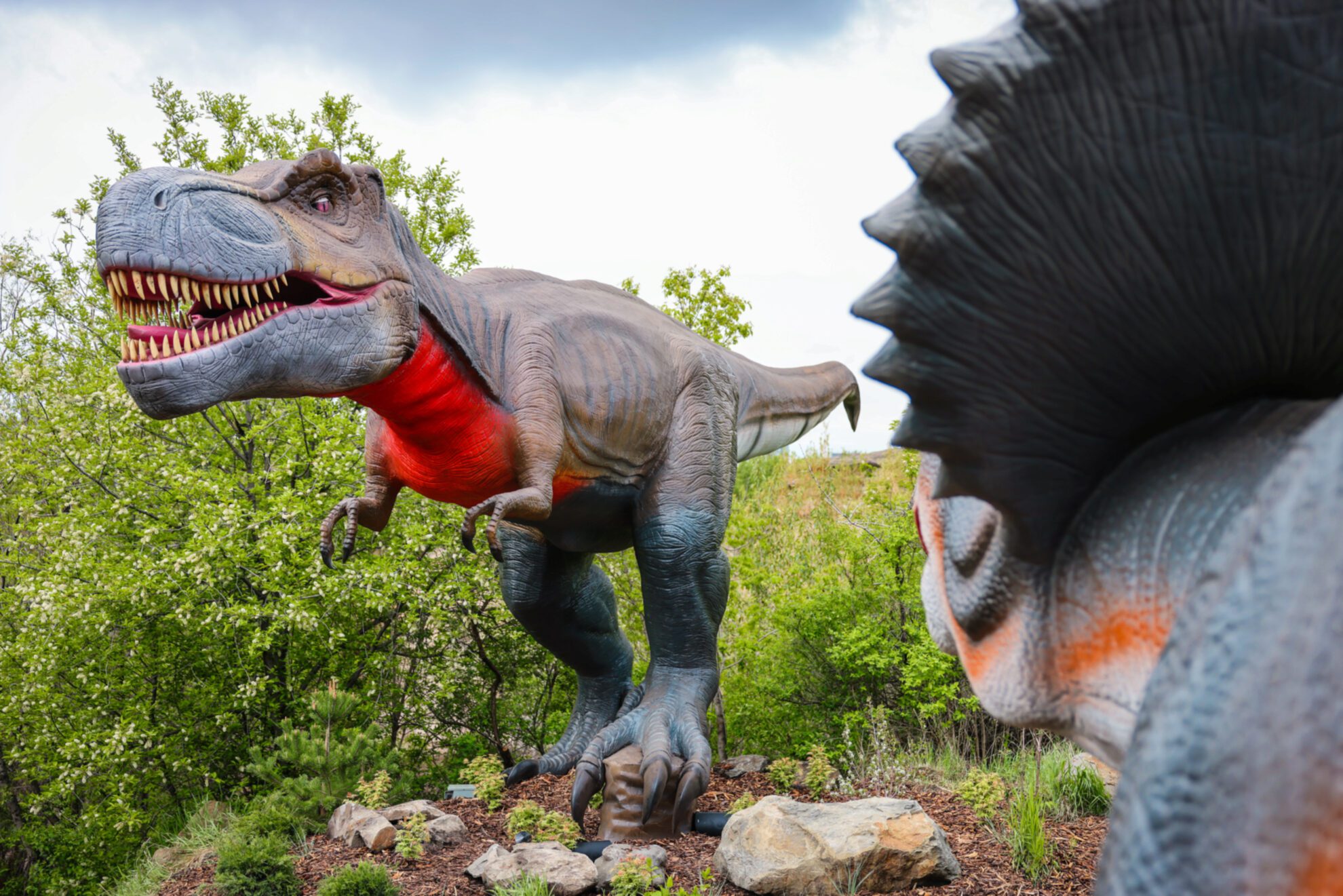 Prehistoric Park