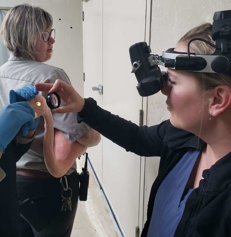 Veterinary exam on chilean flamingo