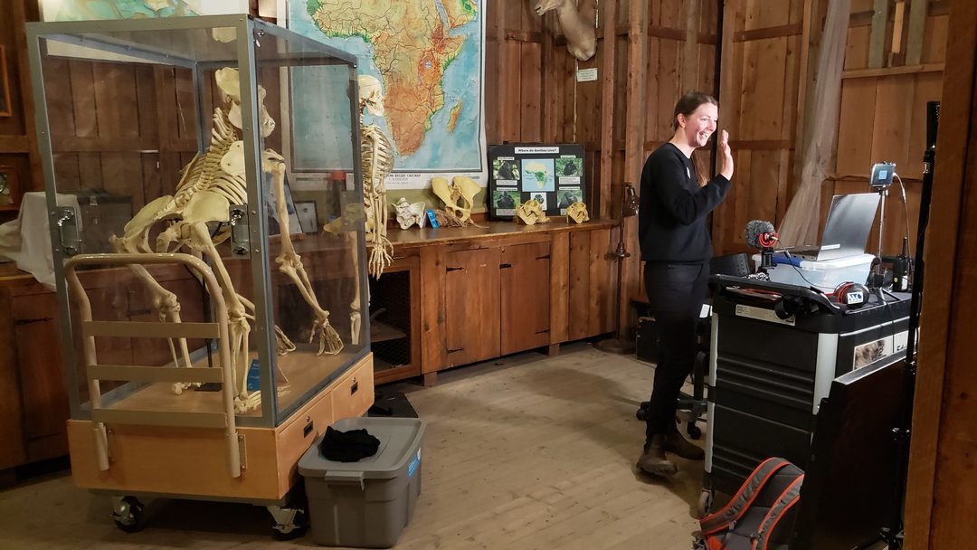 Virtual School Programs