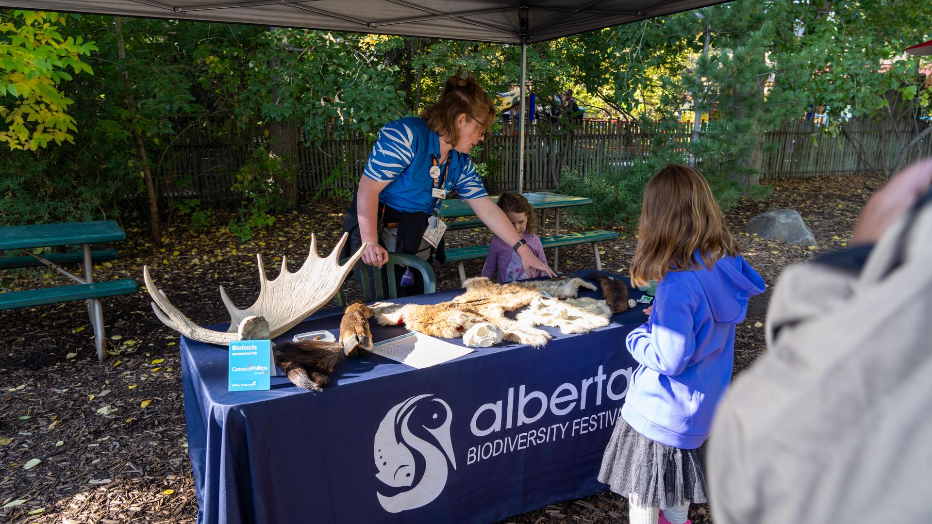 Alberta Biodiversity Festival
