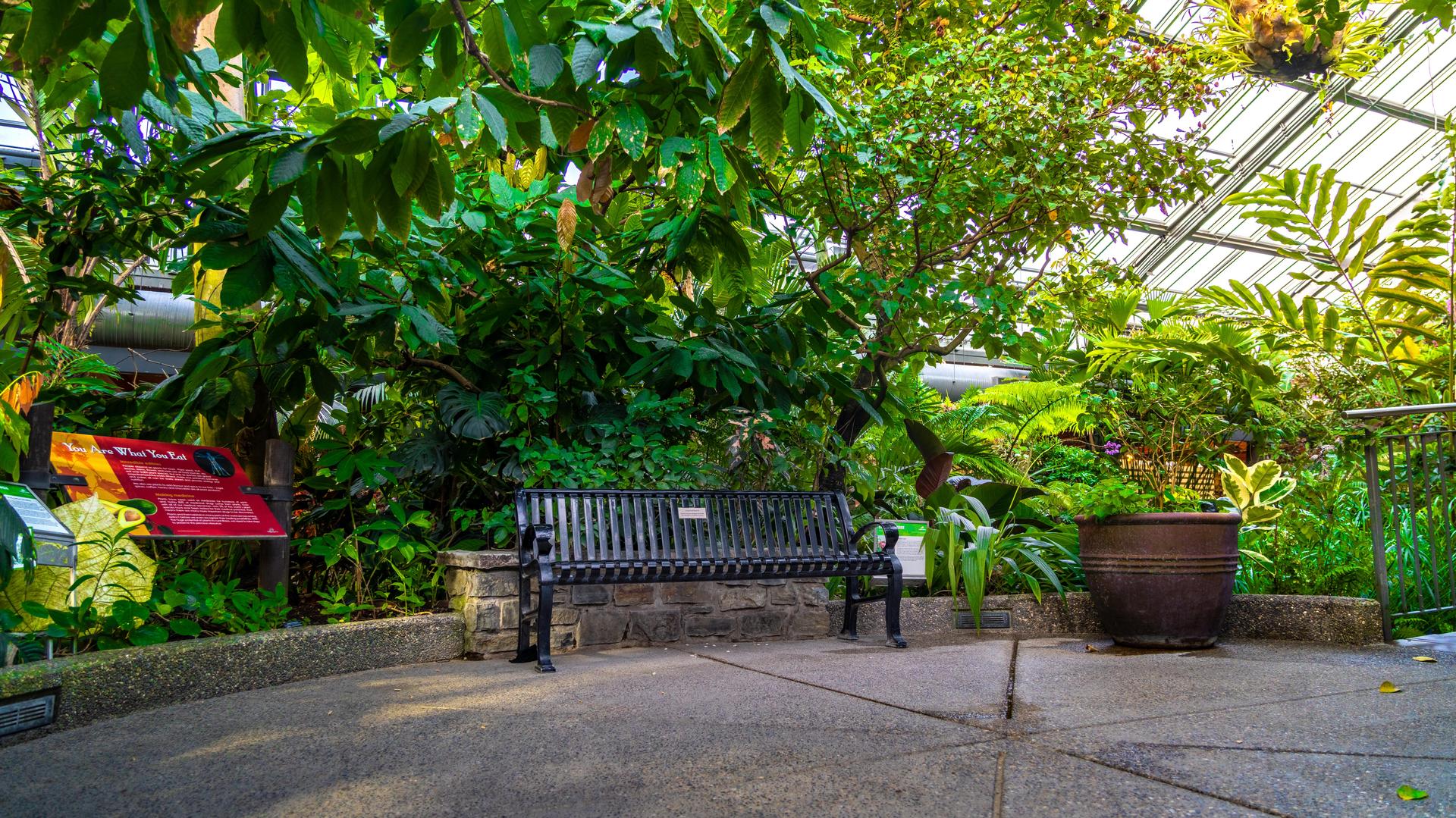 Commemorative Bench