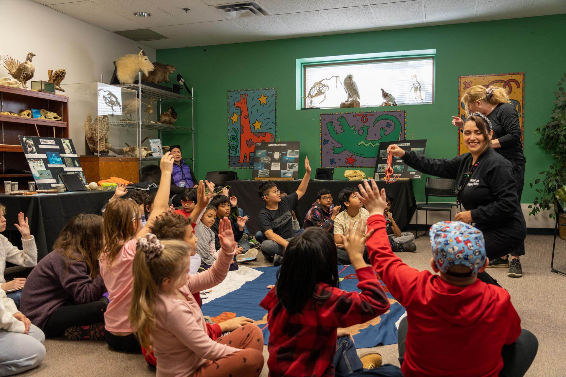 Chevron Open Minds Zoo School