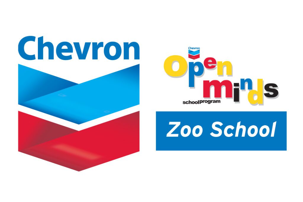 Chevron Open Minds