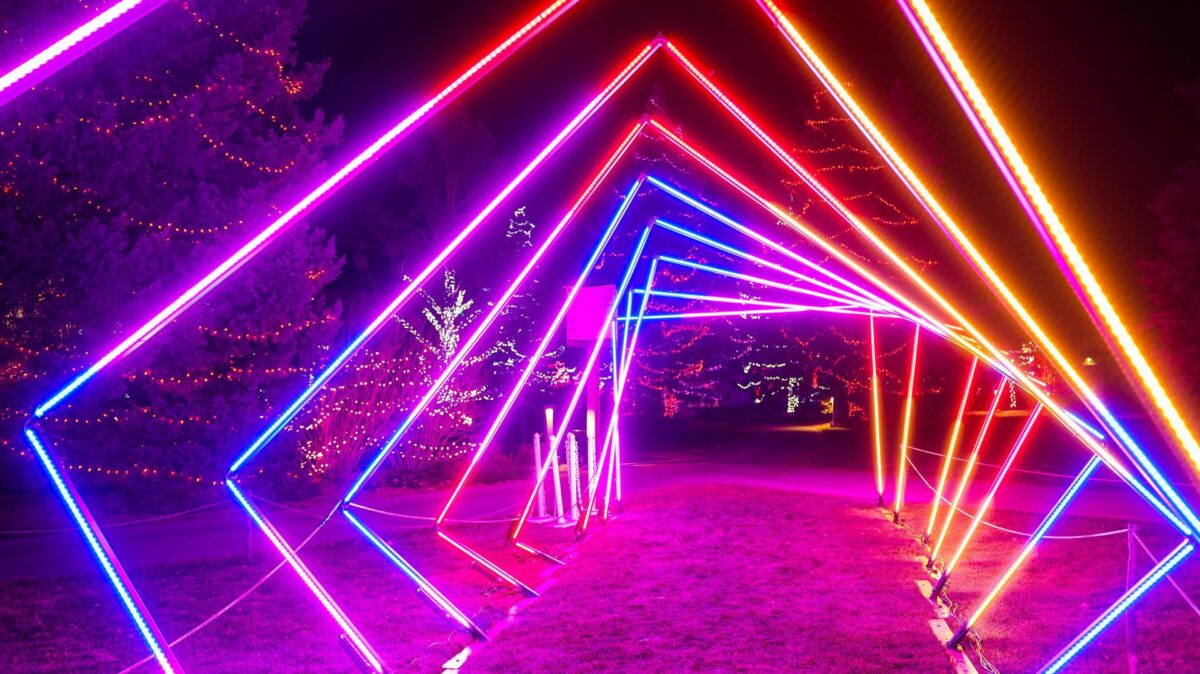 Zoolights