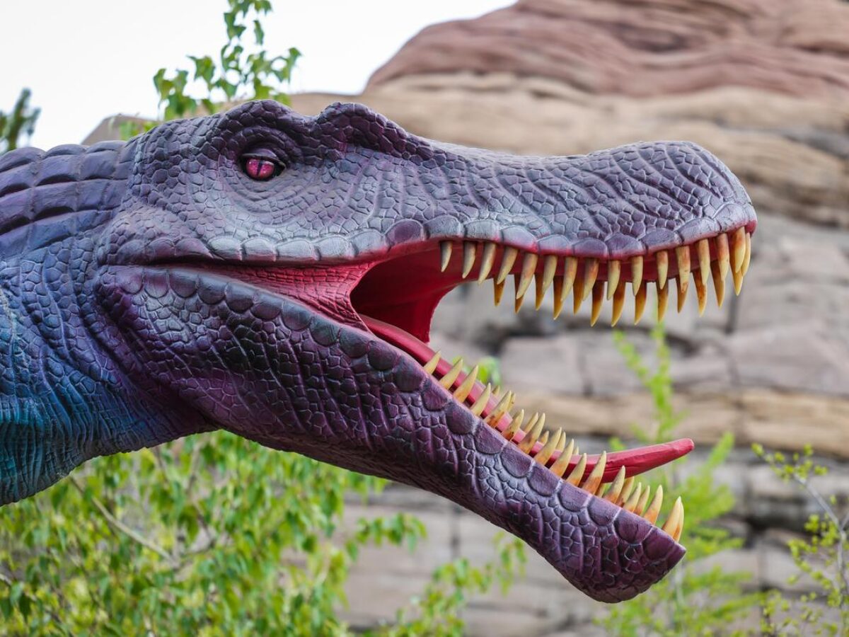 Dinosaur