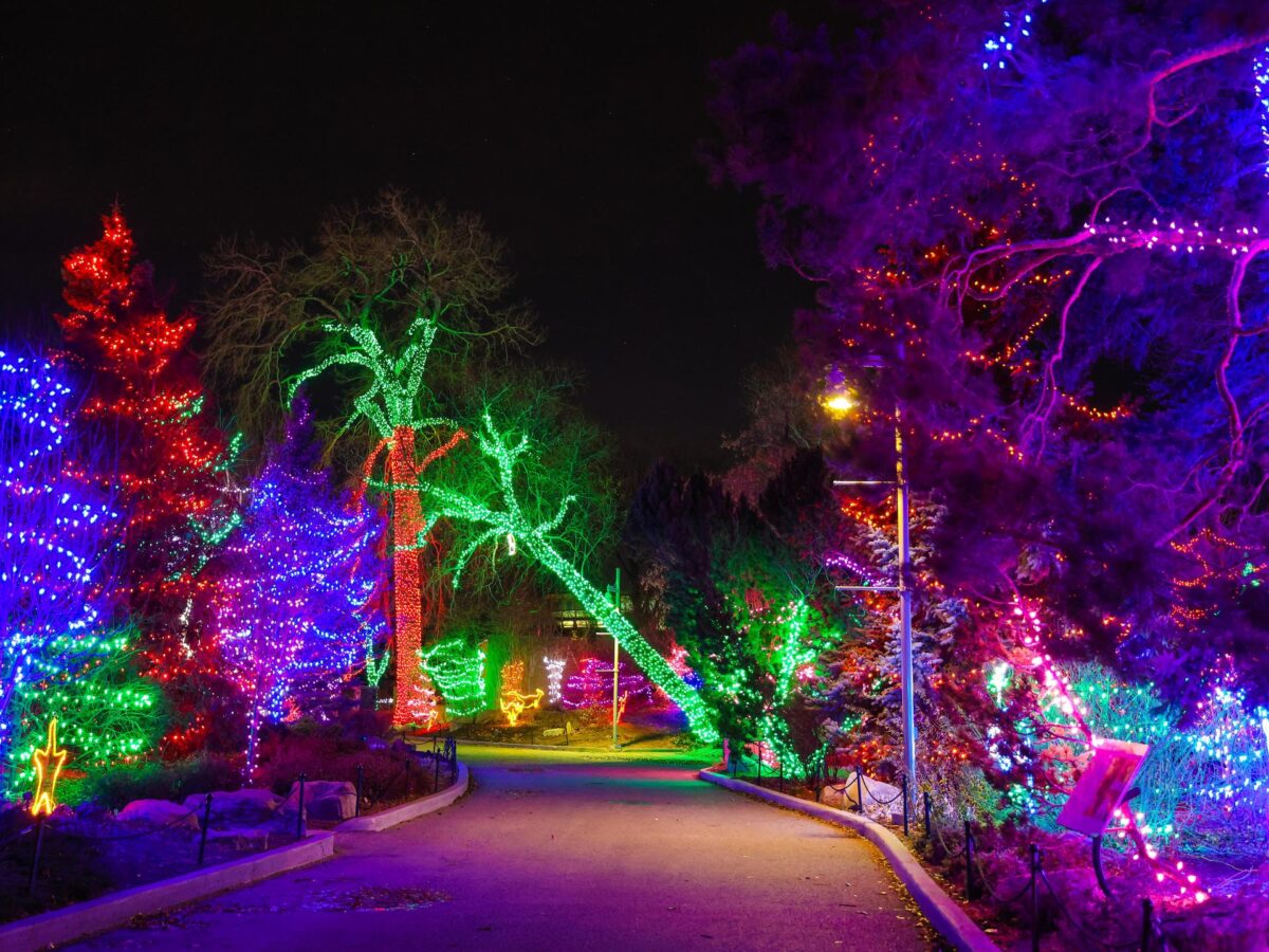 Zoolights