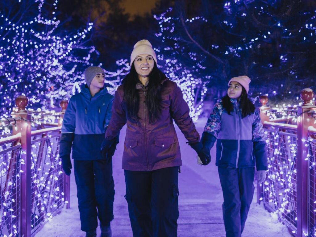 ZOOLIGHTS