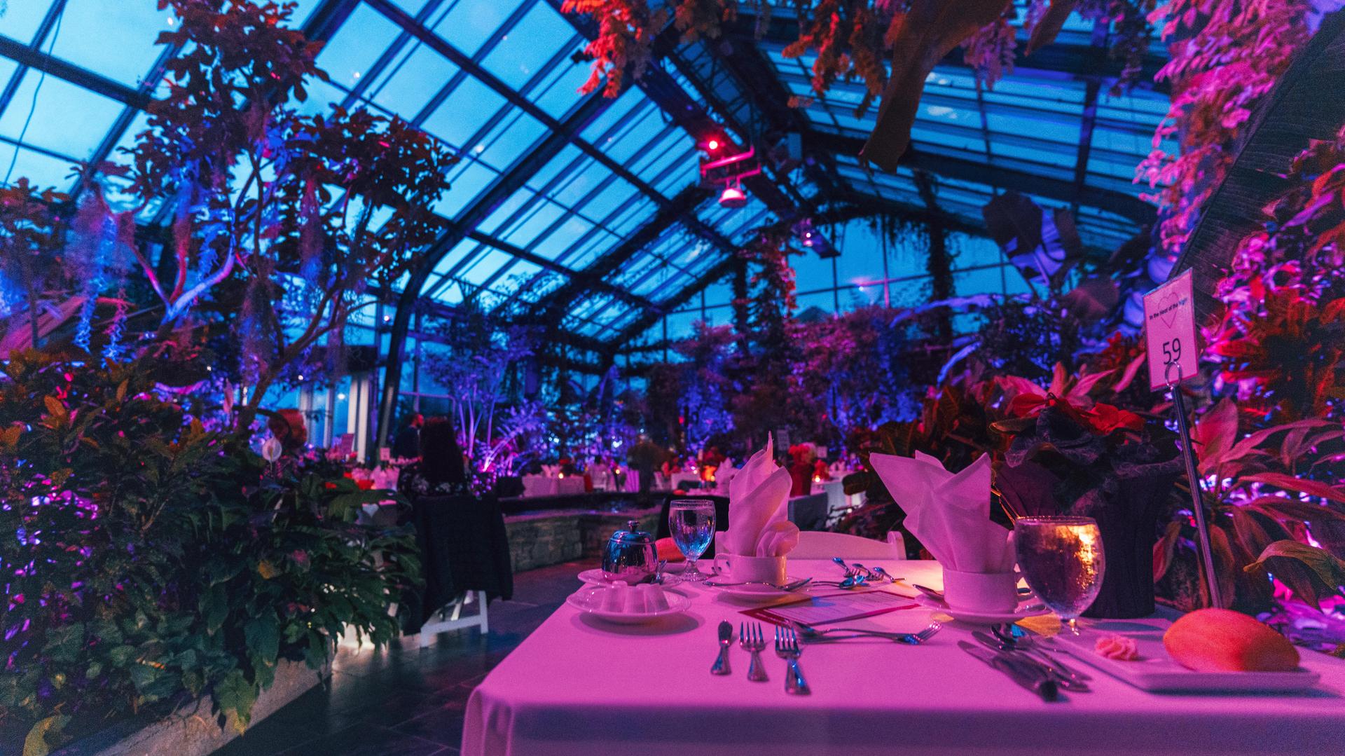 Wild After Hours: In the Heat of the Night (18+) - Wilder Institute/Calgary Zoo