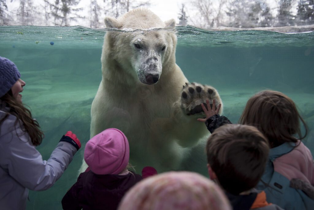 calgary zoo park