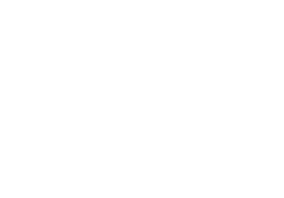 Vermilion Logo
