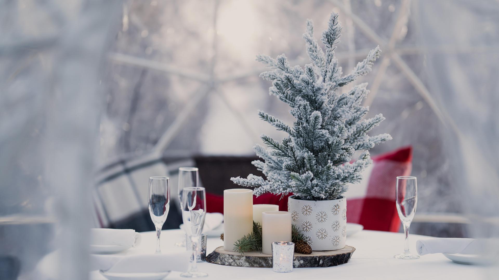 Holiday Gift Guide