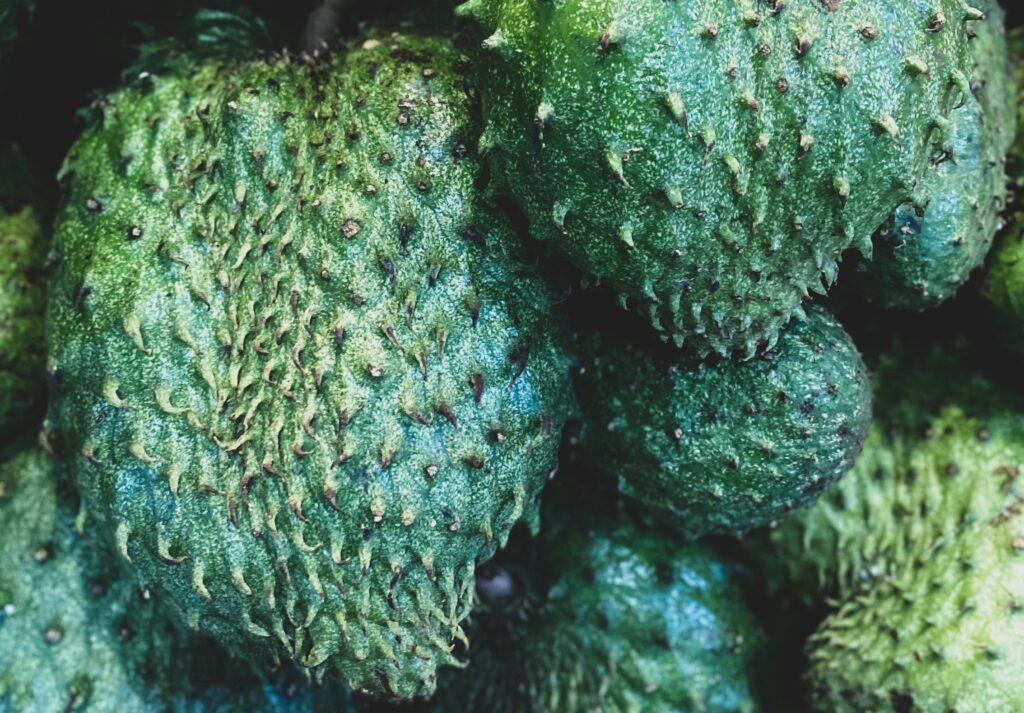 Soursop
