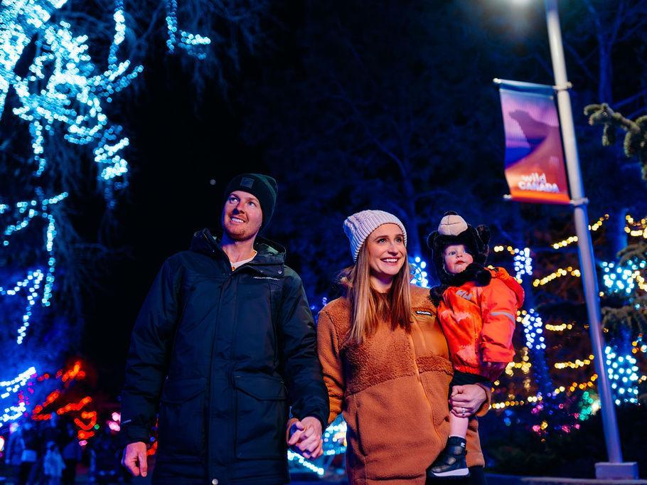 Zoolights