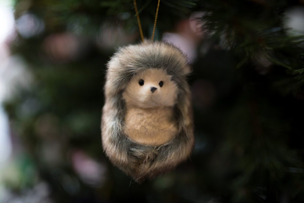 Calgary Zoo Gift Shop