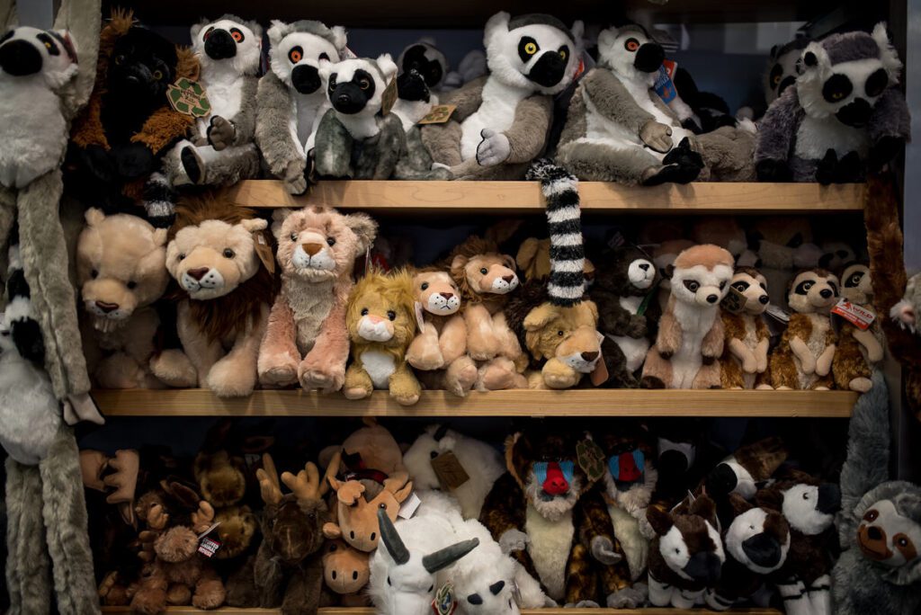 Calgary Zoo Gift Shop