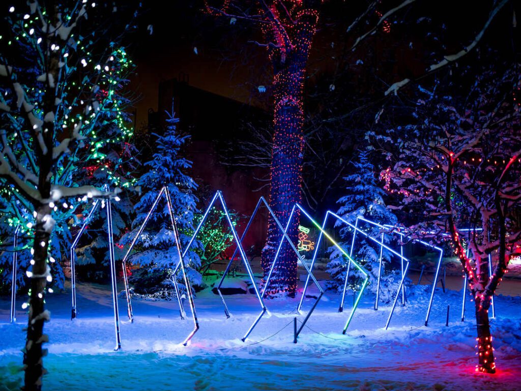 ZOOLIGHTS 2024
