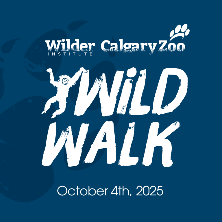 Wild Walk logo